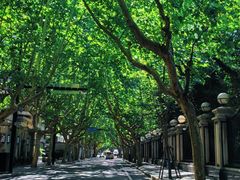 -上海蔡元培故居陈列馆