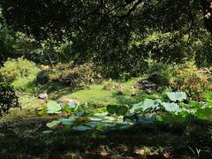 -杭州植物园