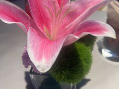 -芙蓉堂(武汉天地店)
