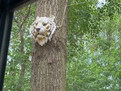 -合肥滨湖国家森林公园