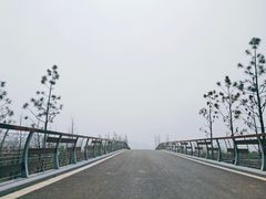-三垟湿地