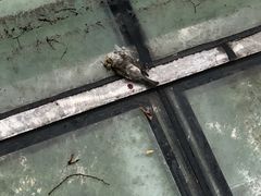 -上海交通大学医学院附属瑞金医院(总院)