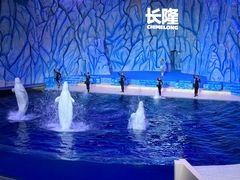 -珠海长隆海洋王国