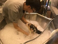 -PETKIT小佩宠物(古北店)