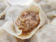 酸菜猪肉水饺-枫林饺子
