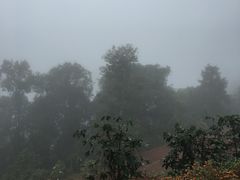 -清迈丛林飞跃 JungleFlight