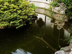 -何园
