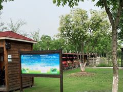 -上海长兴岛郊野公园