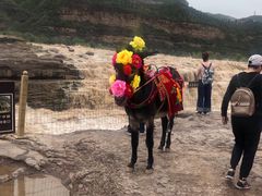 -陕西黄河壶口瀑布旅游区