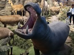 -陕西自然博物馆