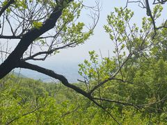 -天津盘山风景名胜区