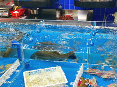 -明本海鲜大排档·鱼生海鲜烧烤宵夜(陈家祠店)