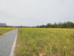 -汉长安城未央宫国家考古遗址公园