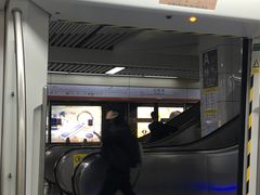 -红树湾(地铁站)