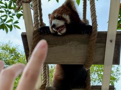 -宁波野生动物园