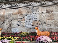 -上海醉白池公园
