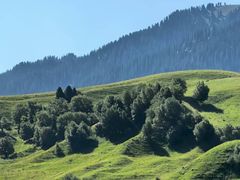 -新疆那拉提国家旅游度假区