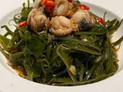 海带苗拌扇贝-波螺油子·海肠捞饭·青岛菜(银座店)