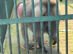 -秦皇岛野生动物园