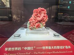 -湖南省地质博物馆