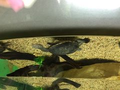 iphone_upload_pic-常州海昌海洋探索馆