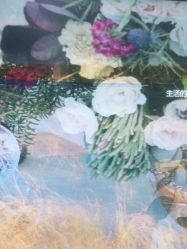 点击看大图 -环球蝶上美业连锁