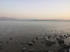 -深圳湾公园(南山区)