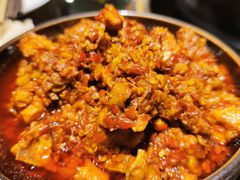-志晖园圆子鸡·辣子鸡(阳光店)