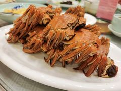 阳澄湖大闸蟹-三元宾馆-中餐厅