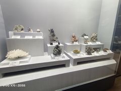 -湖南省地质博物馆