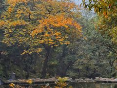-天津盘山风景名胜区