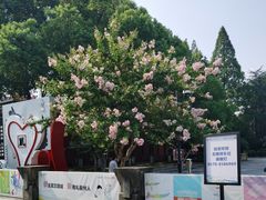 -衢州市博物馆