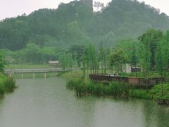 -王借岗森林公园