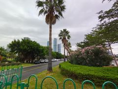 -厦门国际会议中心酒店(环岛路酒店)