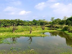 -鹤之洲湿地公园