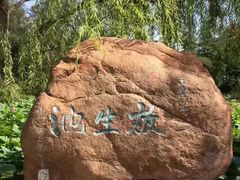 -玉佛苑