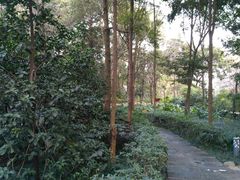 -成都市活水公园