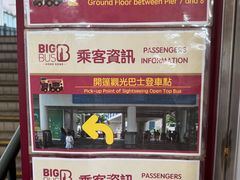 -Big Bus Tours 敞篷观光巴士