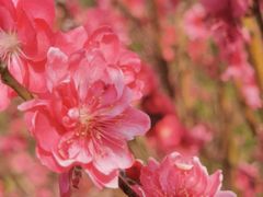 -水濂山森林公园