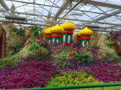 -兰陵国家农业公园