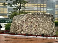 -北京国家会计学院