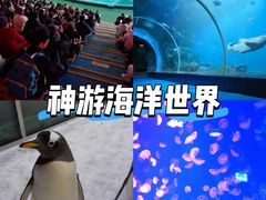 -威海华夏城景区