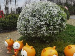 -上海长兴岛郊野公园