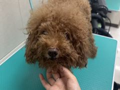 -北京观赏动物医院·24小时大型综合·猫专科·异宠专科