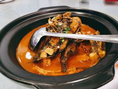 野生黄鳝鱼-丽华园(汉阳龙阳店)