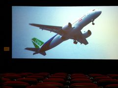 -大地影院(上海南汇店)