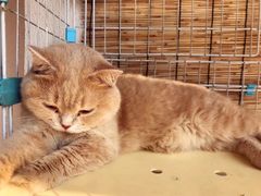 -朕悦鹧鸪饭私房菜