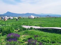 -敕勒川草原