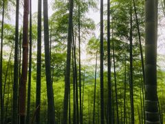 -天下银坑