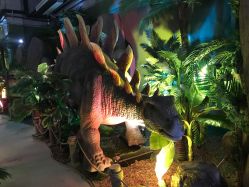 -恐龙探索乐园(磁器口店)